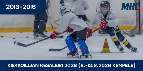 leiri kuvakkeet nettisivuille